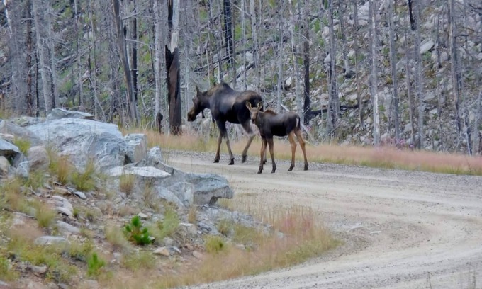 Absarokee Cabin | #4 Rustic cabin with AC in Absarokee - 2 bedrooms