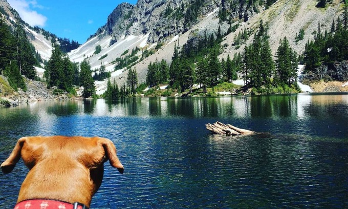 Skykomish Cabin | 4BR Mountain Getaway: Ideal for Skiing, Hiking, & Relaxing