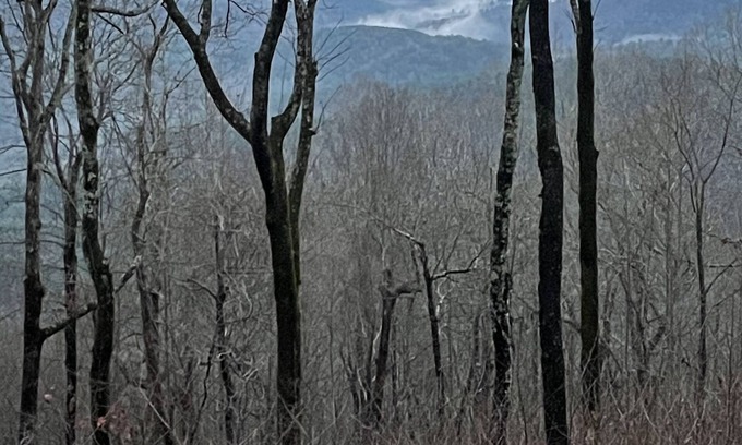 Marietta House | 600-Cozy RV in Awesome Marietta with WiFi, AC