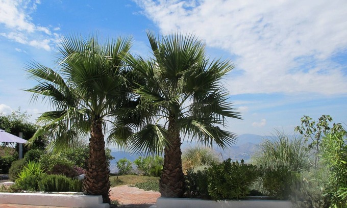 Canillas de Aceituno House | 7,600 M2 Plot With Private Swimming Pool And Magnificent View Over Lake Vinuela