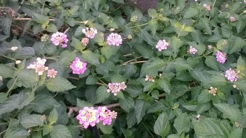 Hirakata House | 8-17 Nomura Motomachi - House/Vacation STAY 1894