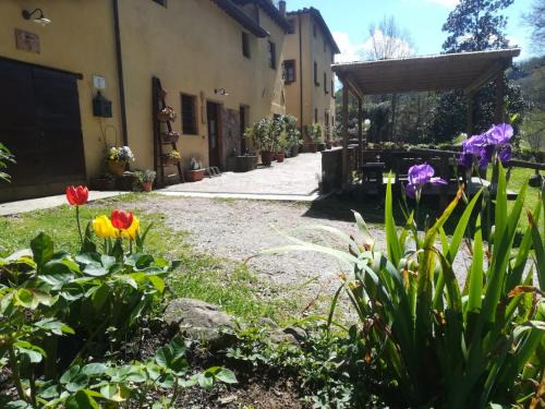 Pescaglia House | A Casa Del Tosi