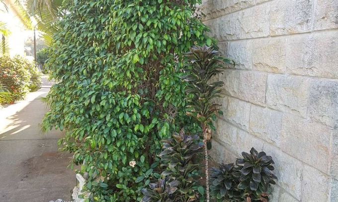 Ilbilbie Hotel | A Country View Motel - Ilbilbie