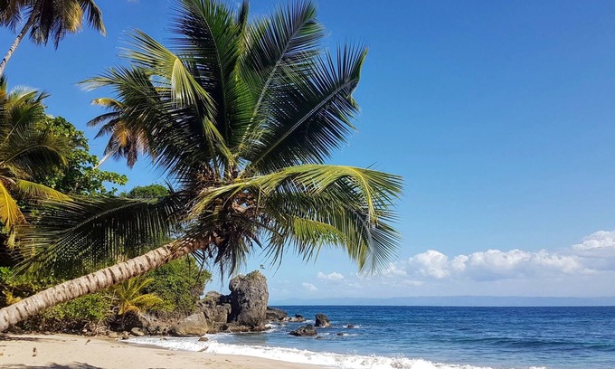 Samana Apartment | A DREAM SEA VIEW INCREDIBLE