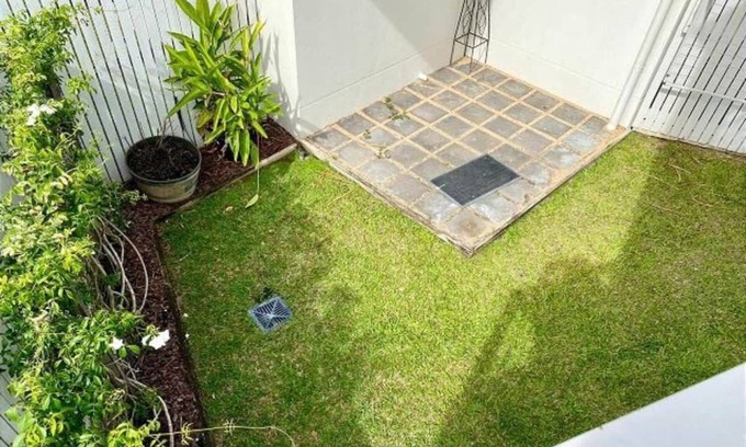 Shaw Apartment | A Little Slice of Nature on Cherry