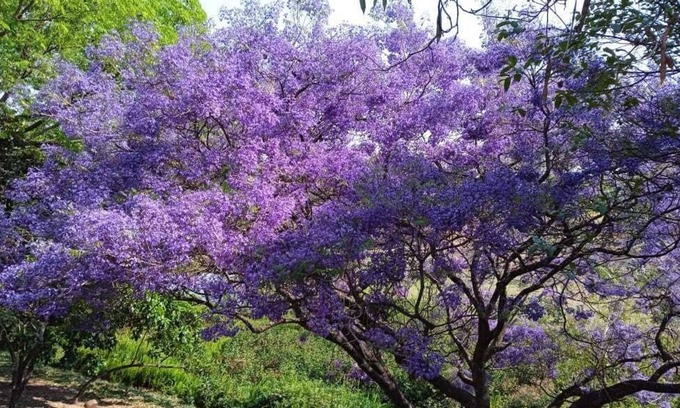 Bauru Apartment | A loft for you to call your own UN 608