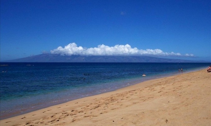 Kaanapali Cottage | A unique dolphin cabin in Kaanapali!