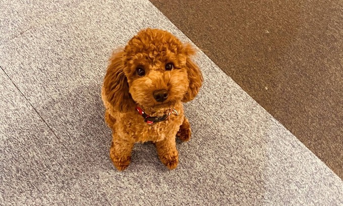 Minato House | A whole house is rented out. Bicycle parking with shutters for motorcycles. Conveniently located to Kaiyukan and Univa