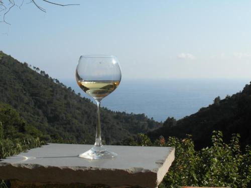 Vernazza House | Agriturismo Costa di Campo