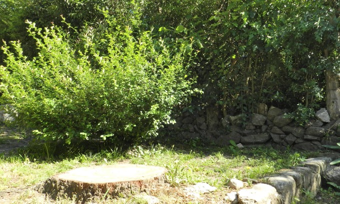 Agua de Oro House | Agua de oro Housing