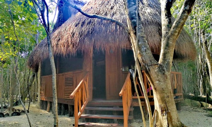 Puerto Morelos Hotel | Aldea Maya-Ha Cabañas con cenotes