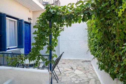 Pythagorion Apartment | Alkmini's