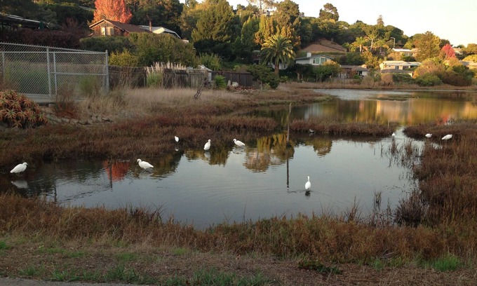 San Rafael Apartment | All inclusive , private apartment in magical bayside area.