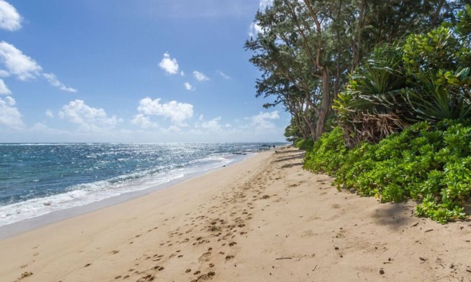 Hauula Apartment | Aloha Studio – AC, Near Beach, Near PCC