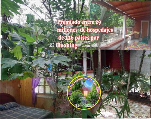 Encarnacion House | Alojamiento El Bosque