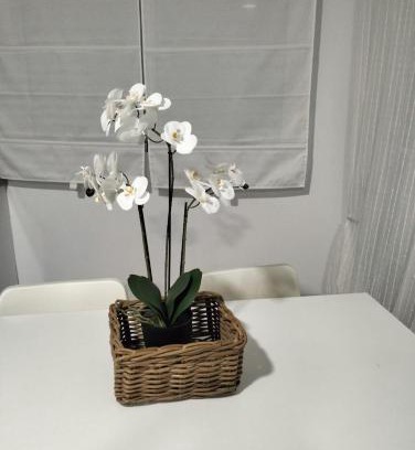 Tabernas House | Alojamiento las Dunas alto