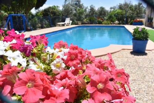 Pozo Alcon House | Alojamientos Rurales la Loma