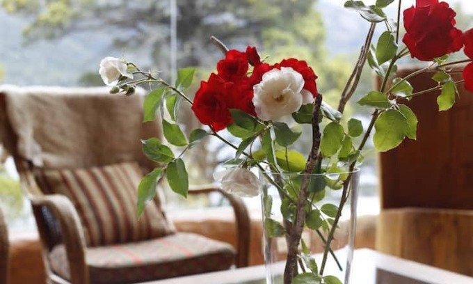 San Jose Apartment | Alojaminto Ester González