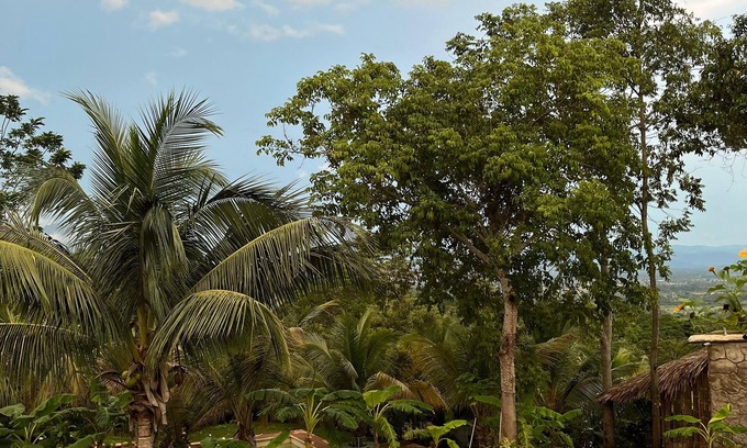 Cacatachi Cottage | Amazon Paradise WiFi Starlink Work or Relax