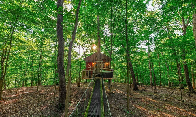 Logan Cabin | Among the Trees - The Clubhouse