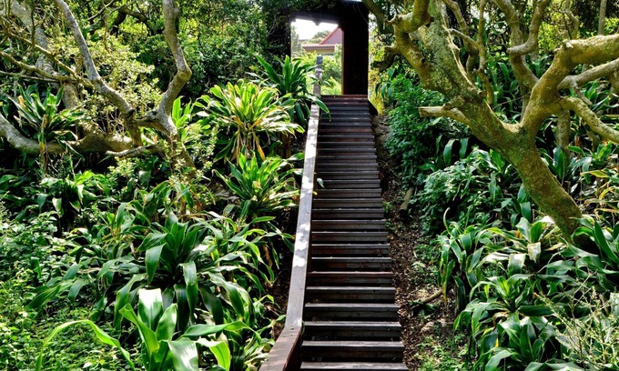 Zinkwazi Beach Hotel | ANEW Hotel Ocean Reef Zinkwazi