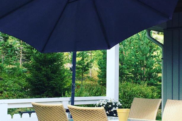 Bolkesjo House | Annes House