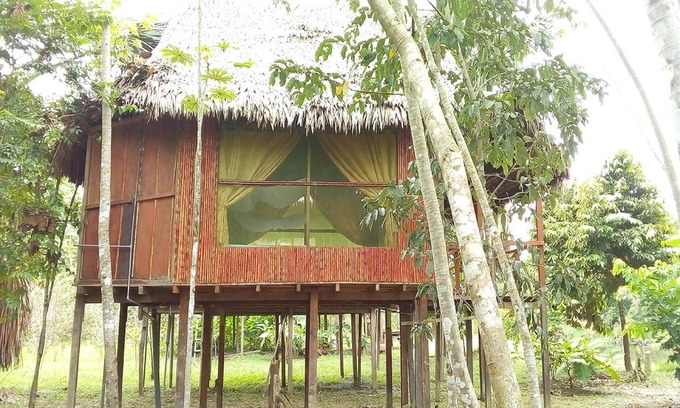 Nauta Cabin | Antares Amazon Lodge