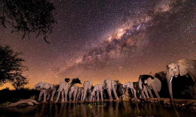 Phalaborwa House | Antares Bush Camp & Umgede Hide