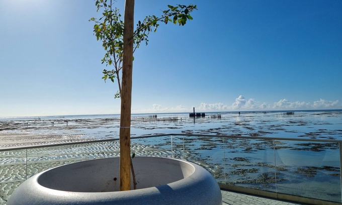 Ponta Verde Apartment | Apê Confortável no melhor da Ponta Verde