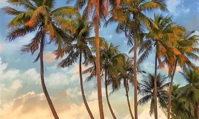 Joao Pessoa Apartment | Apartamento Aconchegante na Orla do Cabo Branco