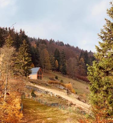 Sokolec Ski Chalet | Apartament Na Szlaku
