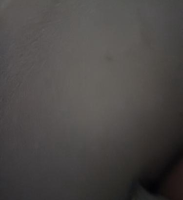 Patrimonio Apartment | Apartamento