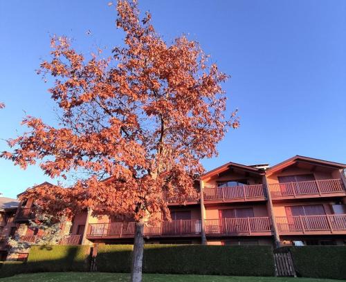 Sainte-Leocadie Apartment | Apartamento con piscina en Santa Leocadia