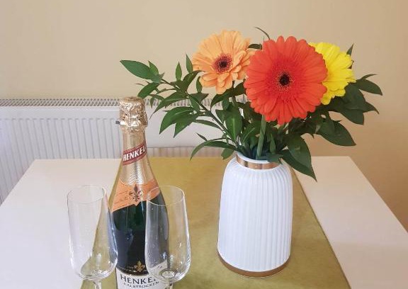 Brcko Apartment | Apartman Fine Rest Brcko