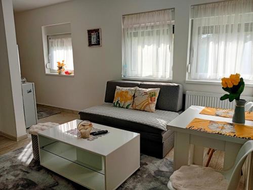 Tuzla Canton Apartment | Apartman Nera