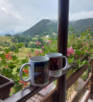 Ravna Gora Apartment | Apartman Skender 3* Ravna Gora