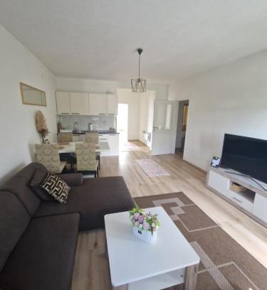 Sanski-Most Apartment | Apartman TESA