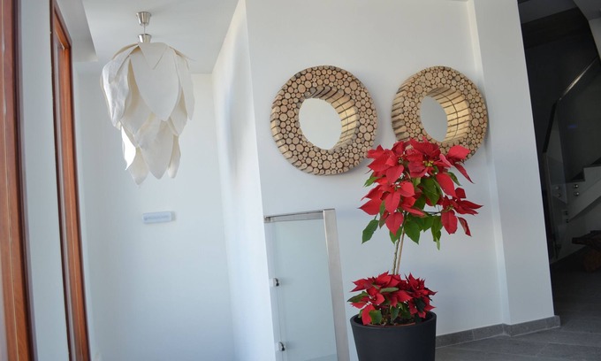 Telde Apartment | Apartment 1B Telde. Gran Canaria