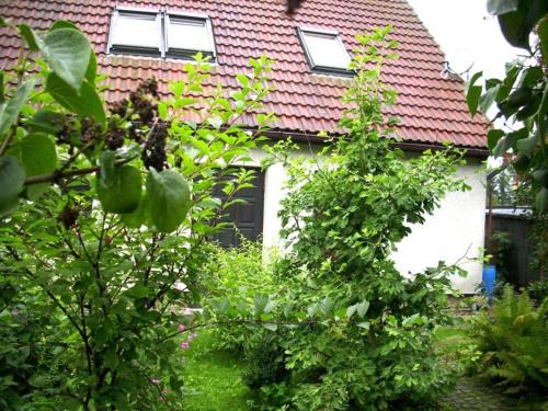 Neugersdorf Apartment | Apartment at the Knappensee in Groß Särchen