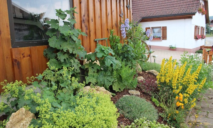 Schonenbach Apartment | Apartment, ideal for families with children, near Schluchsee