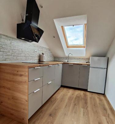 Cerkno House | Apartments and rooms pri Bašlju