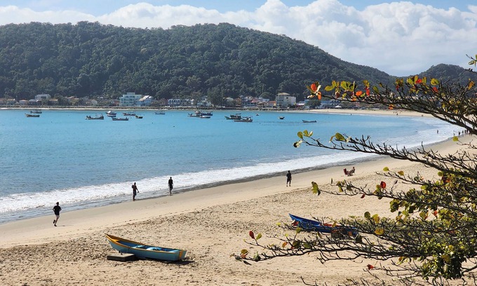 Enseada Apartment | Apt moderno a 240 metros da praia DW6172