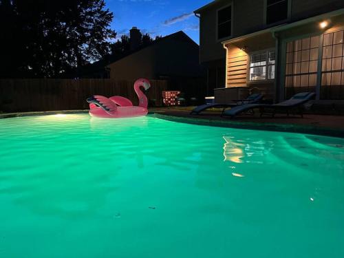 South Arlington House | Arlington Oasis with a Pool