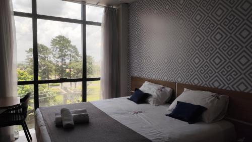 Hortolandia Hotel | Assay Plaza Hotel