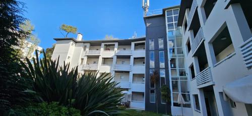 Carilo Apartment | Avutarda de Carilo