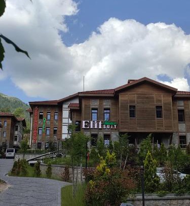 Ayder Yaylasi Apartment | Ayder Elif Apart Daire