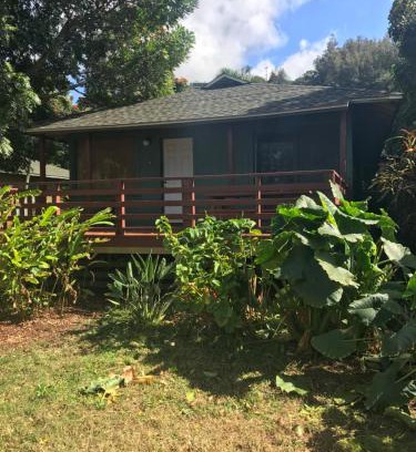 Pupukea Hotel | Backpackers Vacation Inn and Plantation Village
