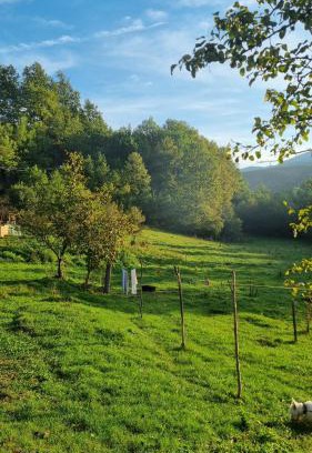 Republika Srpska Bed & Breakfast | Bad and Breakfast Majestik