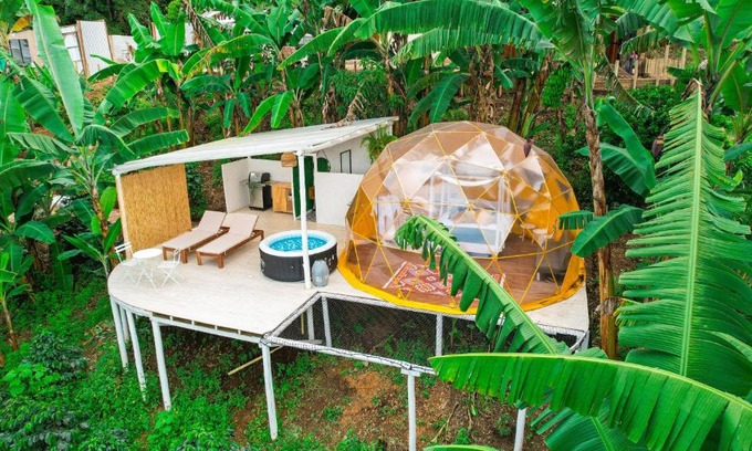 Bojaca Hotel | Bajo el Cielo Glamping San Francisco