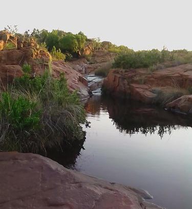 Bela-Bela Cabin | Bateleur Nature Reserve